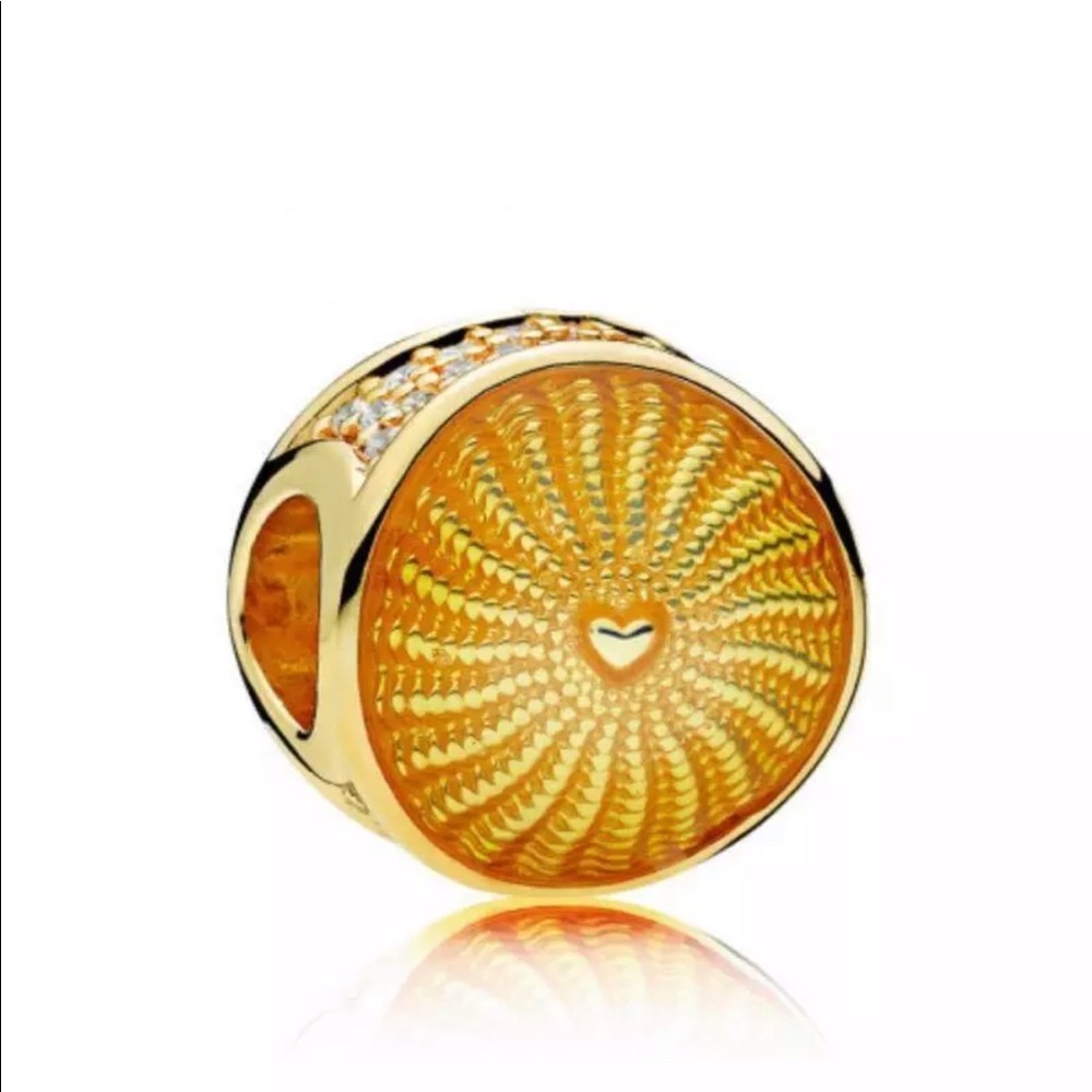 Pandora charm